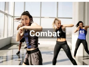 Clases Combat en centro deportivo reston